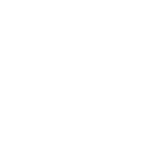 logo-icon